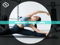 冰岛队希望在下一届欧洲杯上创造奇迹