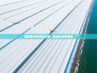 热那亚中场关键传球，助球队逆转取胜