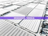 湖南湘涛迎来胜利，冲刺亚冠8强